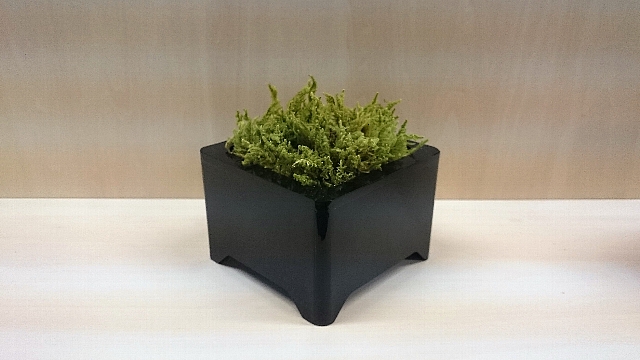 苔プランター