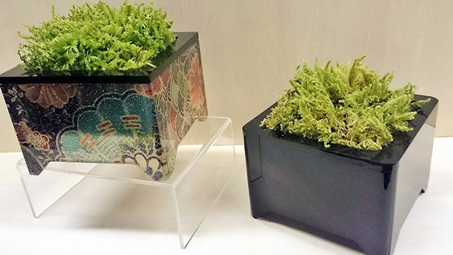 和柄 苔プランター